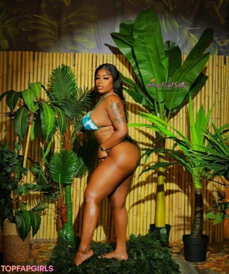 Phattgirlcoco nude leaked OnlyFans photo #103