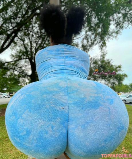 Phattgirlcoco nude leaked OnlyFans photo #18