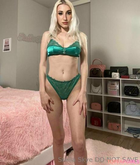Vipstellaskye nude leaked OnlyFans photo #389