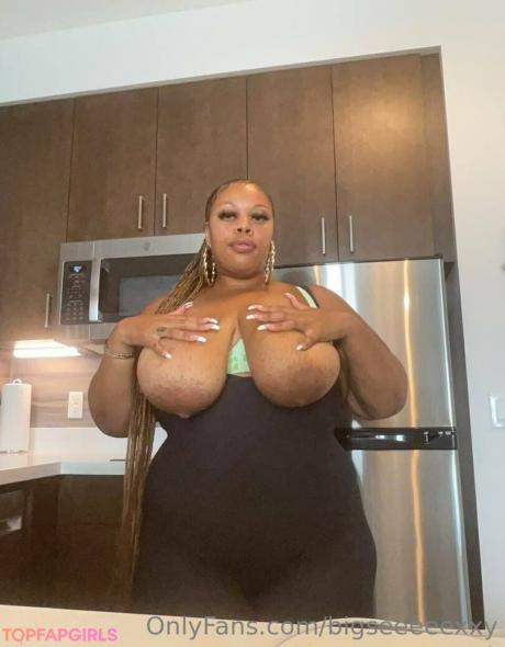 Bigseeeeexxy nude leaked OnlyFans photo #722