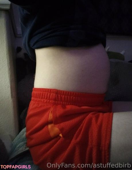 Astuffedbirb nude leaked OnlyFans photo #104