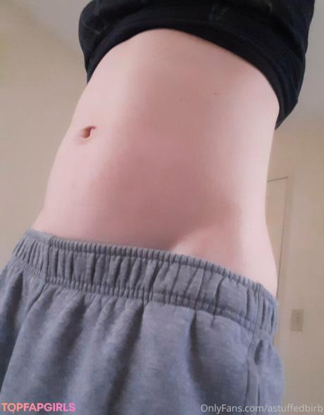 Astuffedbirb nude leaked OnlyFans photo #4