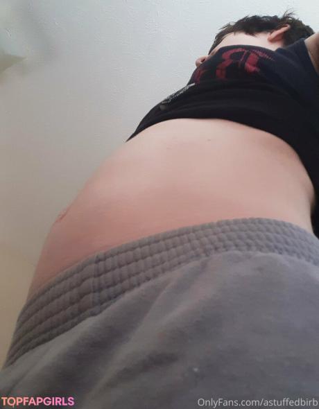 Astuffedbirb nude leaked OnlyFans photo #56