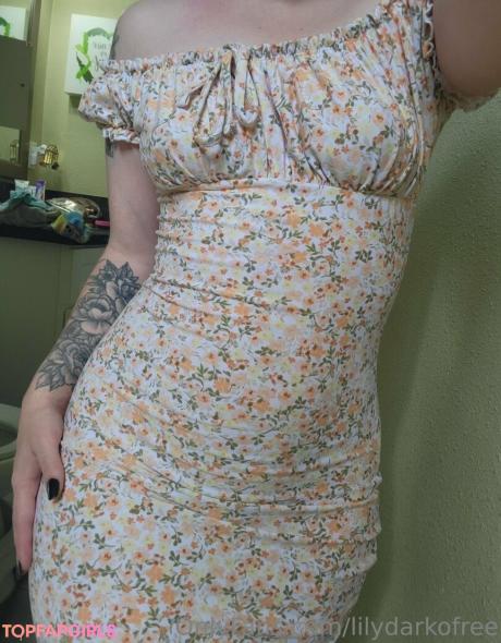 Lilydarkofree nude leaked OnlyFans photo #96