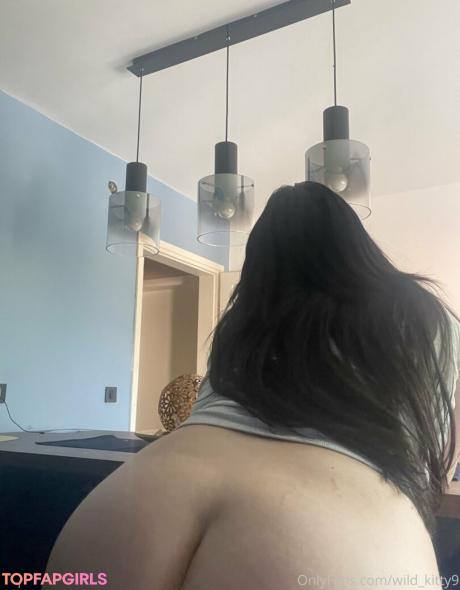Wild_kitty9 nude leaked OnlyFans photo #83