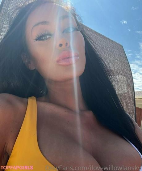 Ilovewillowlansky nude leaked OnlyFans photo #49