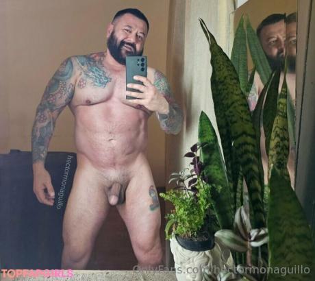 Hectormonaguillo nude leaked OnlyFans photo #2