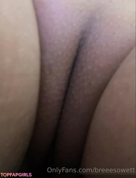 Breeesowet nude leaked OnlyFans photo #2