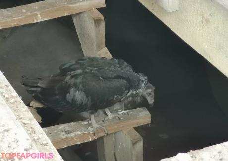 Bellatrix nude leaked OnlyFans photo #262