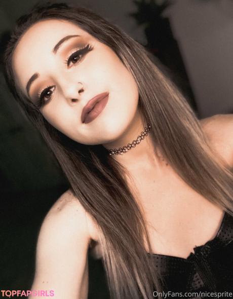 Nicesprite nude leaked OnlyFans photo #70