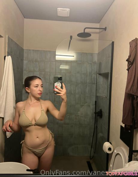 Vanessaroom8 nude leaked OnlyFans photo #597