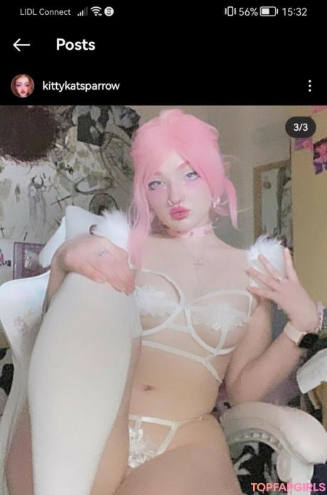 KittyKatSparrow nude leaked OnlyFans photo #2