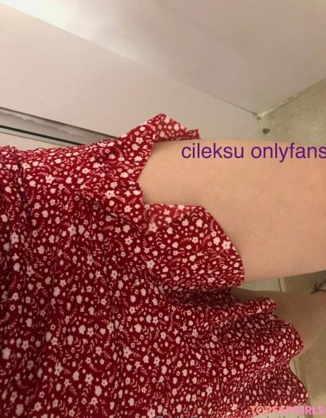 Cileksu nude leaked OnlyFans photo #8