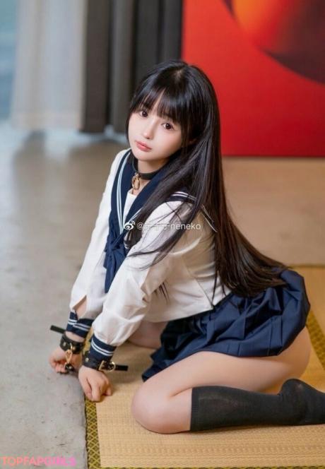 Aninnyan nude leaked OnlyFans photo #405