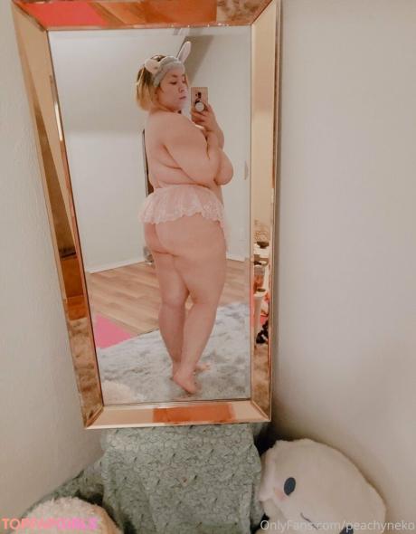 Peachyneko nude leaked OnlyFans photo #132