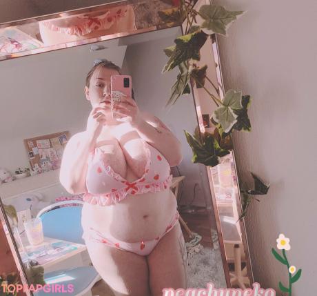 Peachyneko nude leaked OnlyFans photo #20