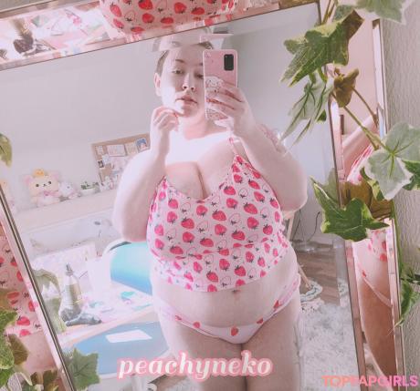 Peachyneko nude leaked OnlyFans photo #23