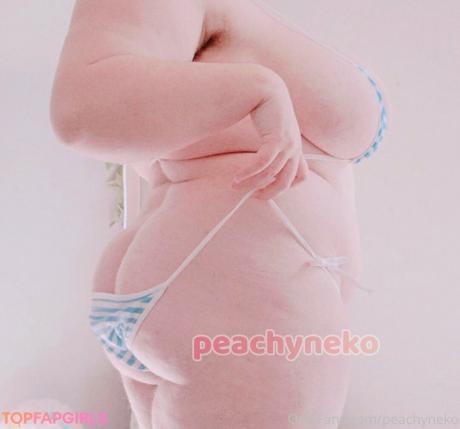 Peachyneko nude leaked OnlyFans photo #69