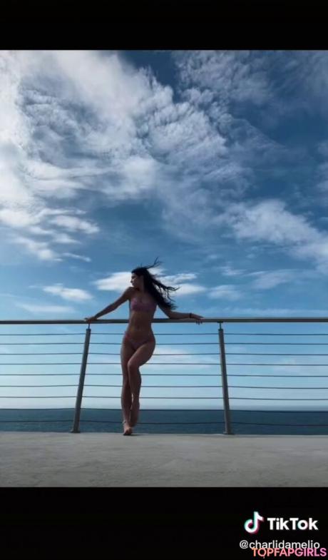 Charli nude leaked OnlyFans photo #278