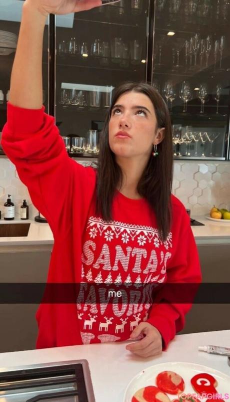 Charli nude leaked OnlyFans photo #431