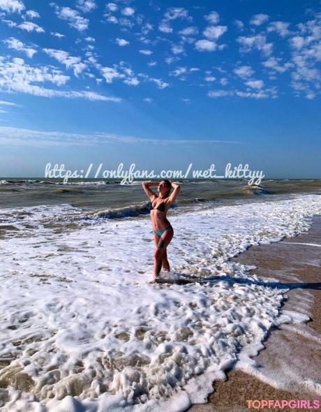 Wet_kittyy_ukraine nude leaked OnlyFans photo #77
