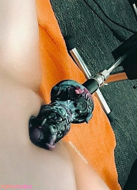 Misscharliestoybox nude leaked OnlyFans photo #27