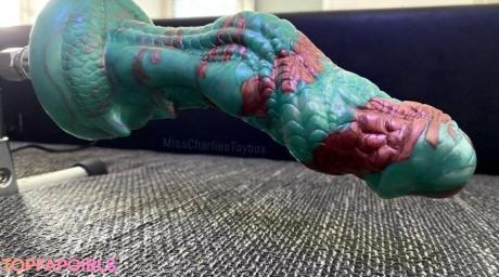 Misscharliestoybox nude leaked OnlyFans photo #35