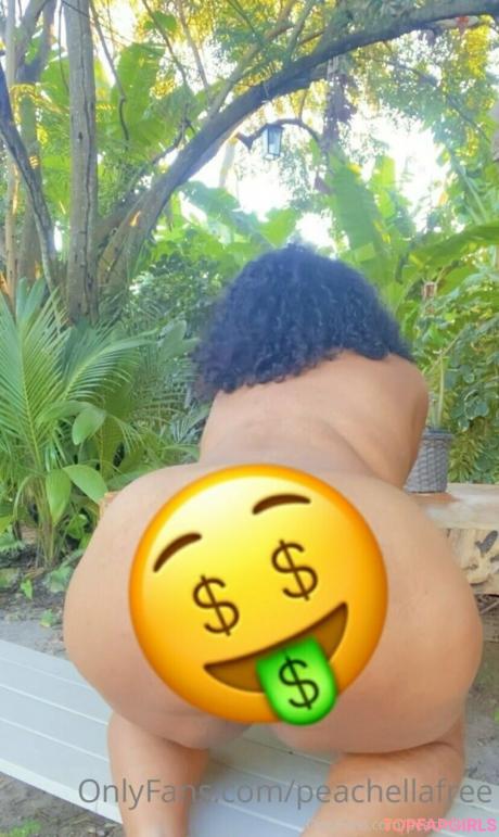 Peachellafree nude leaked OnlyFans photo #29