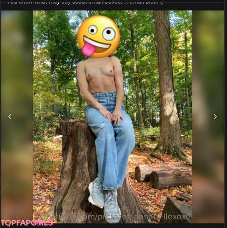 Princess_annabellexoxo nude leaked OnlyFans photo #4