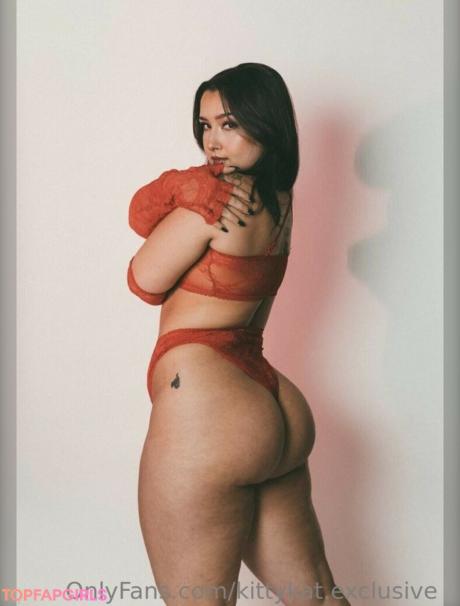 Kittykat.exclusive nude leaked OnlyFans photo #7
