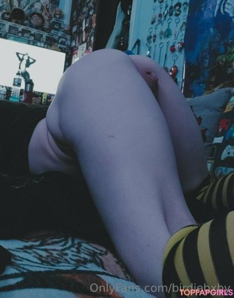 Birdiebxby nude leaked OnlyFans photo #49