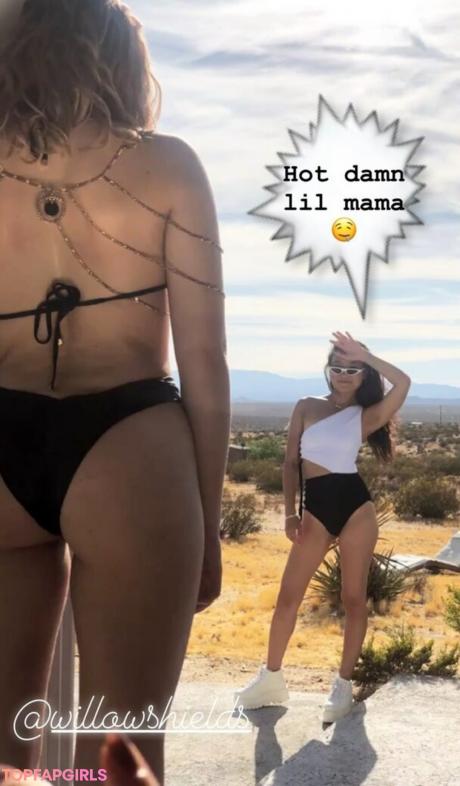 Willow nude leaked OnlyFans photo #232