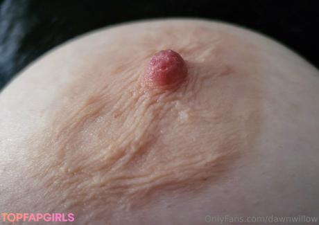 Dawnwillow nude leaked OnlyFans photo #229