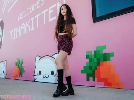 Tinakitten nude leaked OnlyFans photo #54