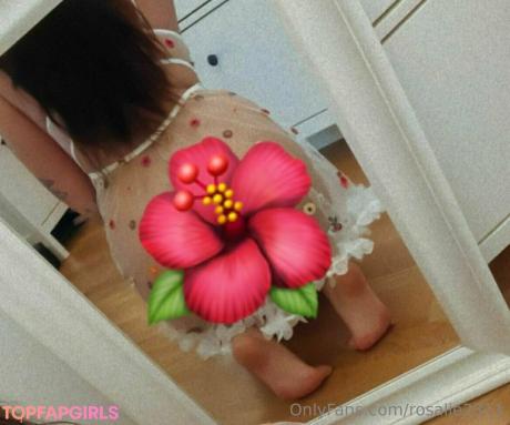 Rosalie2311 nude leaked OnlyFans photo #53