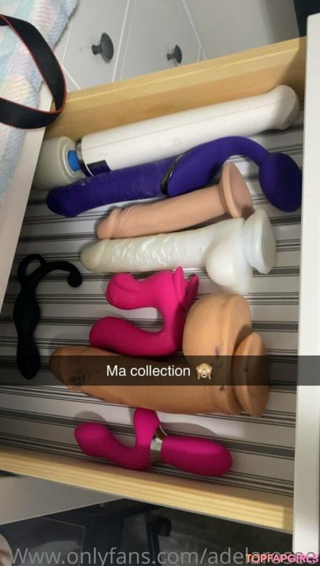 Adelaroseefree nude leaked OnlyFans photo #44