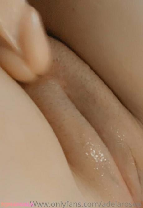 Adelaroseefree nude leaked OnlyFans photo #60