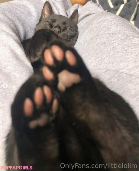 Littlelolim nude leaked OnlyFans photo #10