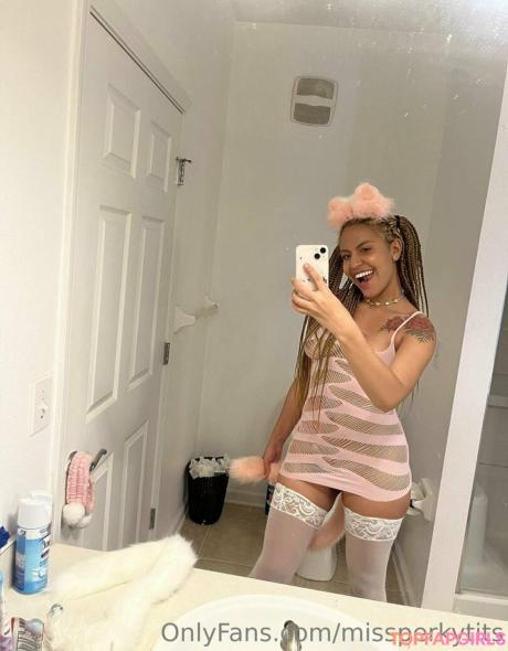Missperkytits nude leaked OnlyFans photo #15