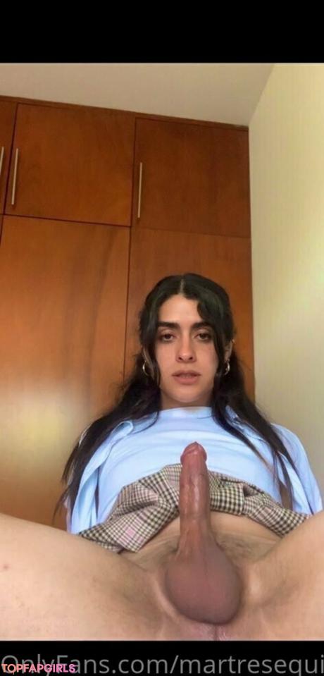 Martresequis nude leaked OnlyFans photo #113