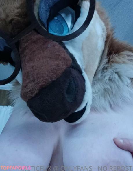 Arcticfux nude leaked OnlyFans photo #11
