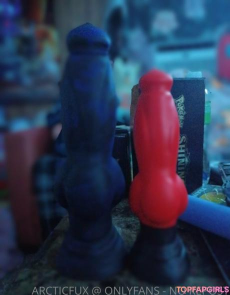 Arcticfux nude leaked OnlyFans photo #12