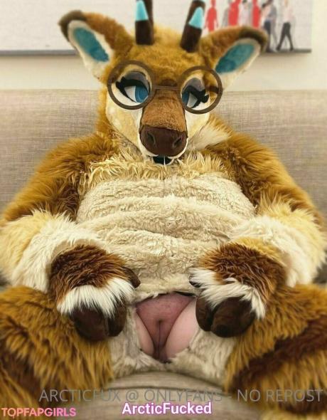 Arcticfux nude leaked OnlyFans photo #15