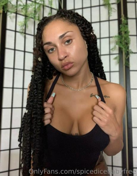Spicedicebabyfree nude leaked OnlyFans photo #34
