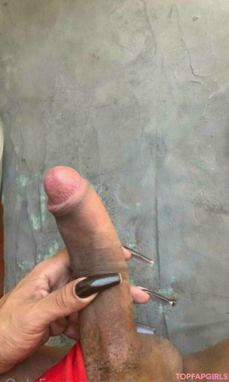 Tsfoxyanastasia nude leaked OnlyFans photo #26