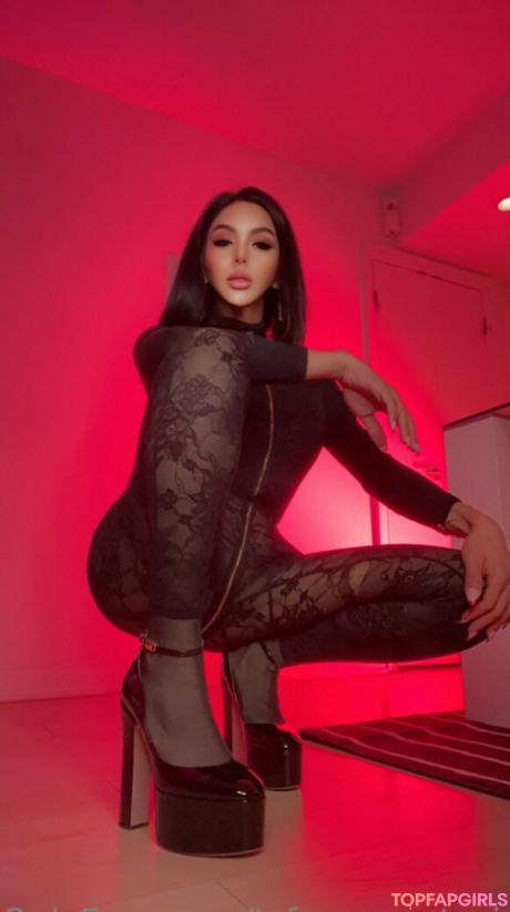 Tsfoxyanastasia nude leaked OnlyFans photo #83