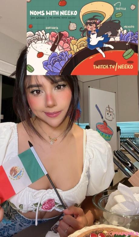 Neekolul nude leaked OnlyFans photo #348