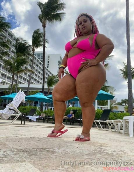 PinkyXXX nude leaked OnlyFans photo #370