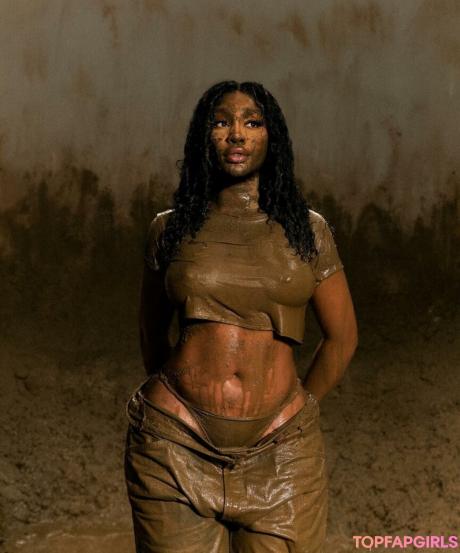 SZA nude leaked OnlyFans photo #75