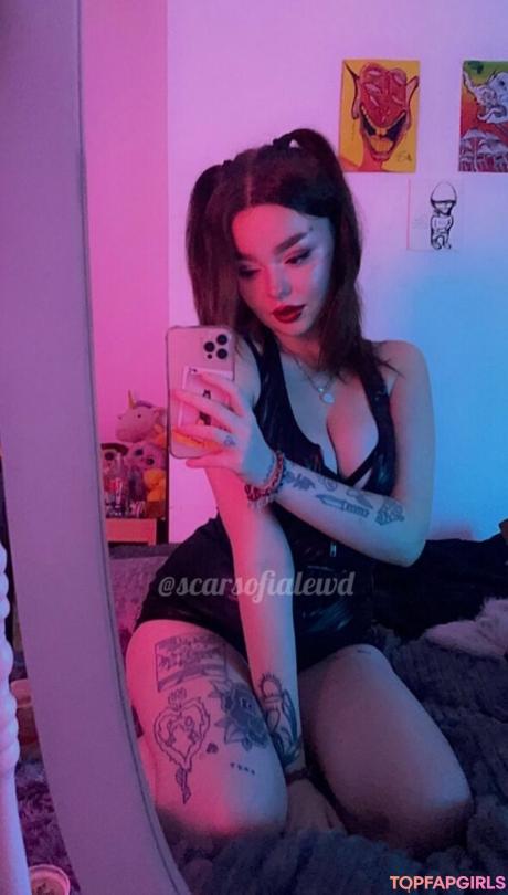 Scarsofialewd nude leaked OnlyFans photo #40